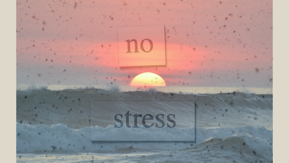 Understanding Cortisol: What Stress Does to Your Body and How to Lower It Naturally