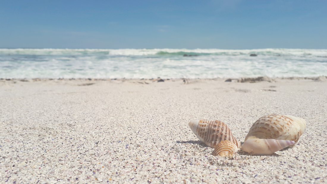 Puka Shells and the Spirit of Hawaii: A Deeper Look Into Their Meaning