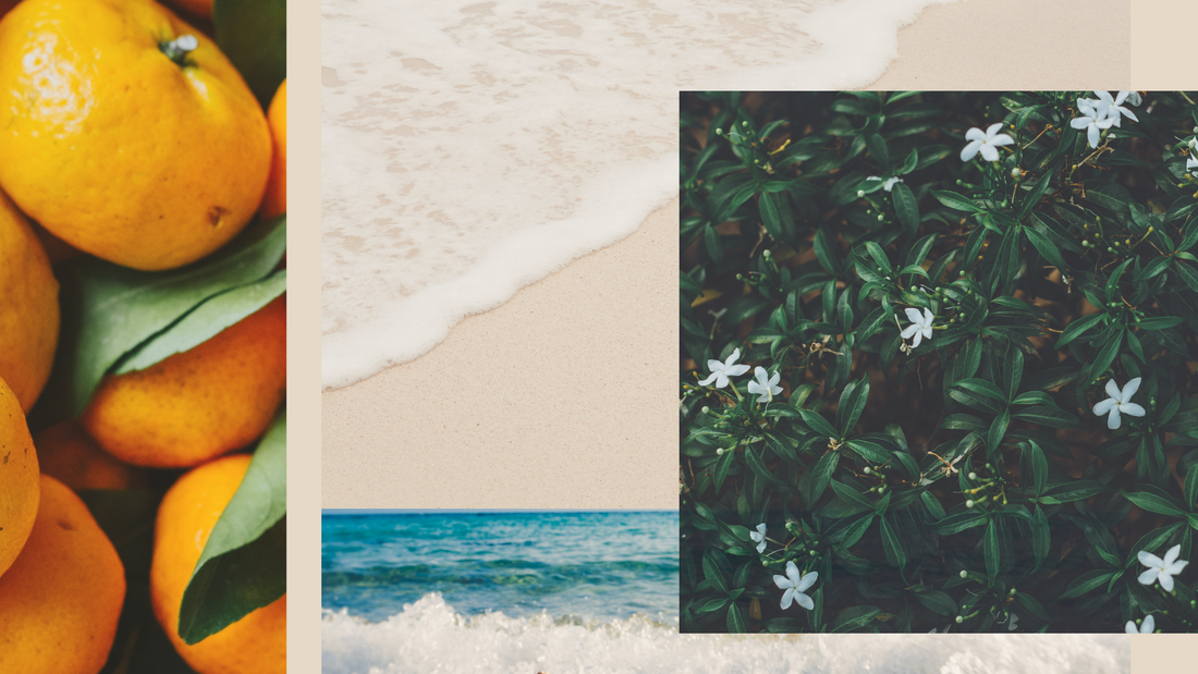 Best Beachy Perfume for Summer 2025: Vacation by Ginger June