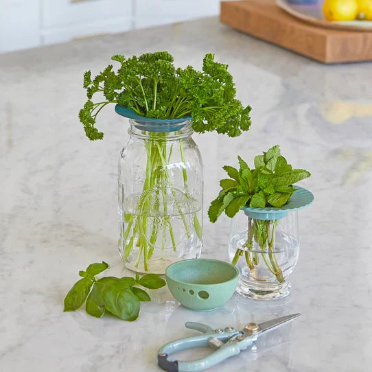 Extend the Life of Your Fresh Herbs with This Simple Water Storage Method