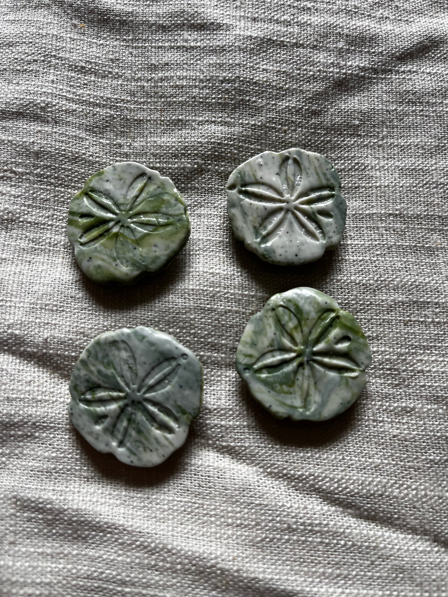Sand Dollar Magnets - Set of 4
