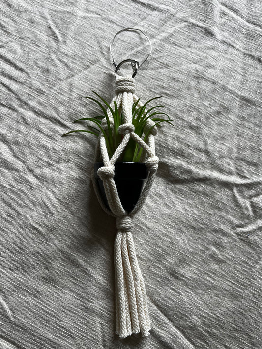 Mini Macrame Plant Hanger