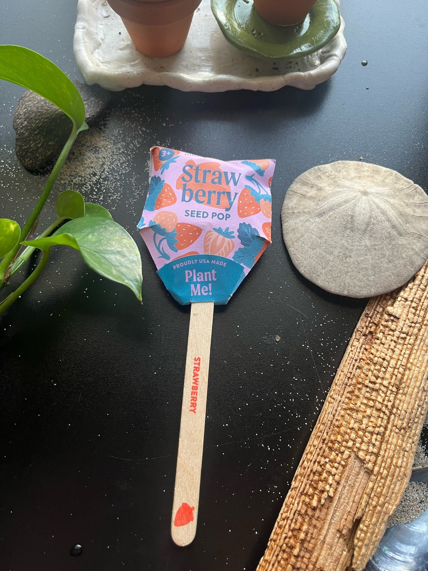 Garden Seed Pop Kits
