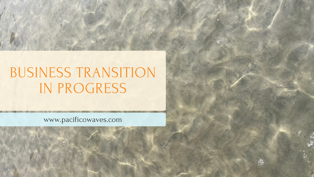 Business Transition In Process