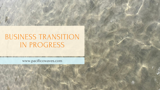 Business Transition In Process