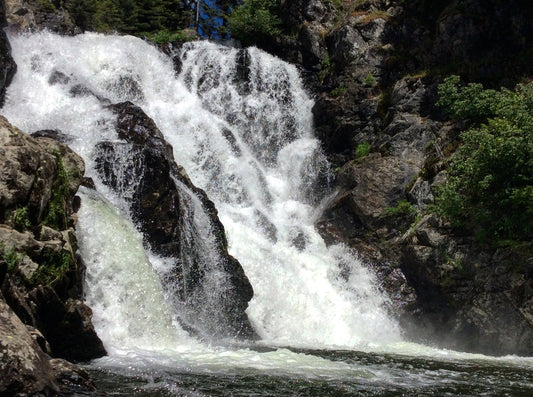 Things That Make Me Feel Alive in Spring (And Might Help You Too)
