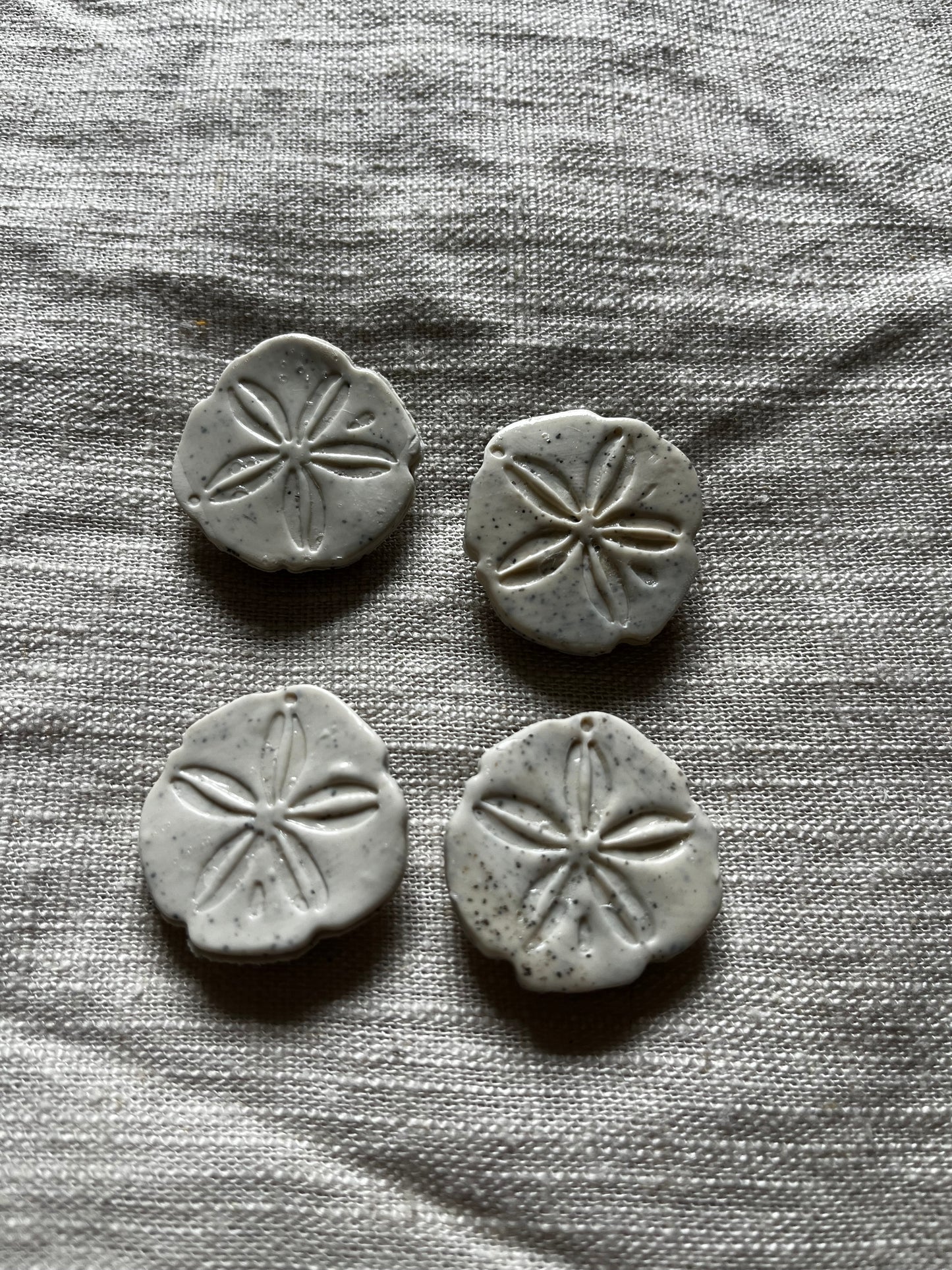 Sand Dollar Magnets - Set of 4