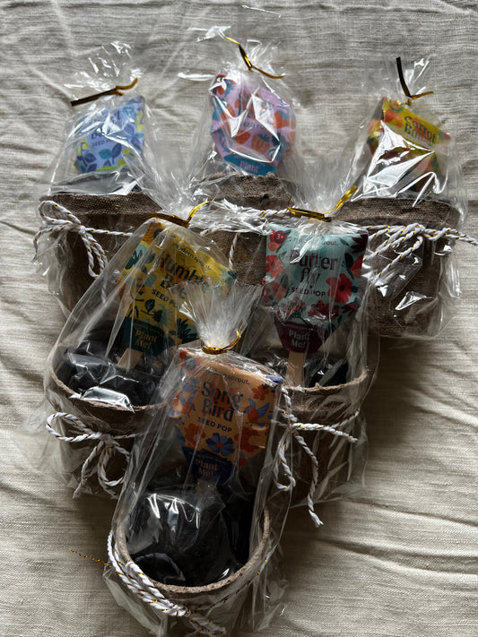 Garden Seed Pop Kits