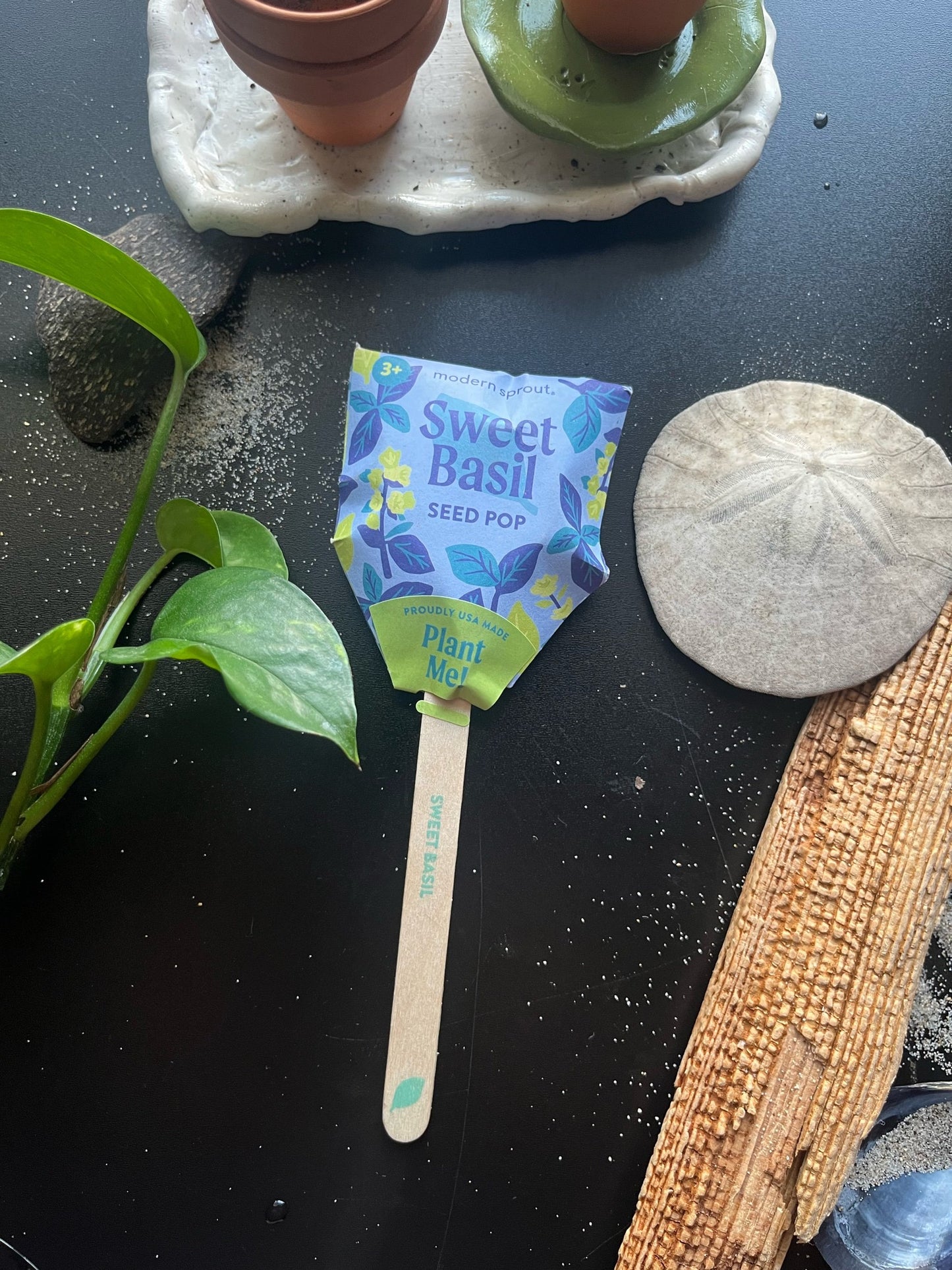 Garden Seed Pop Kits