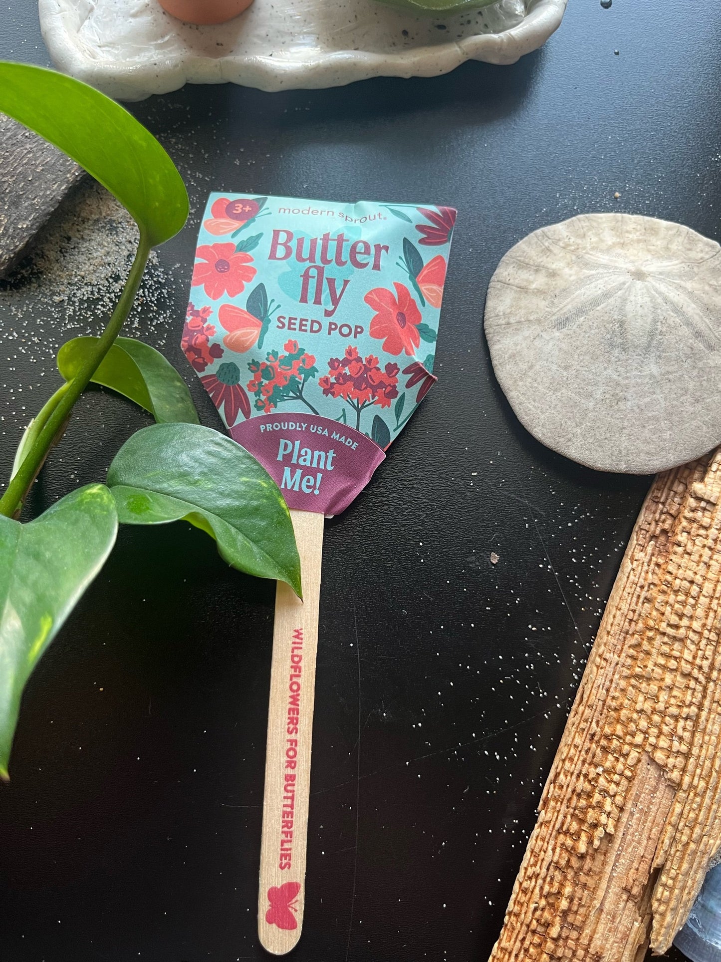 Pollinator Seed Pops