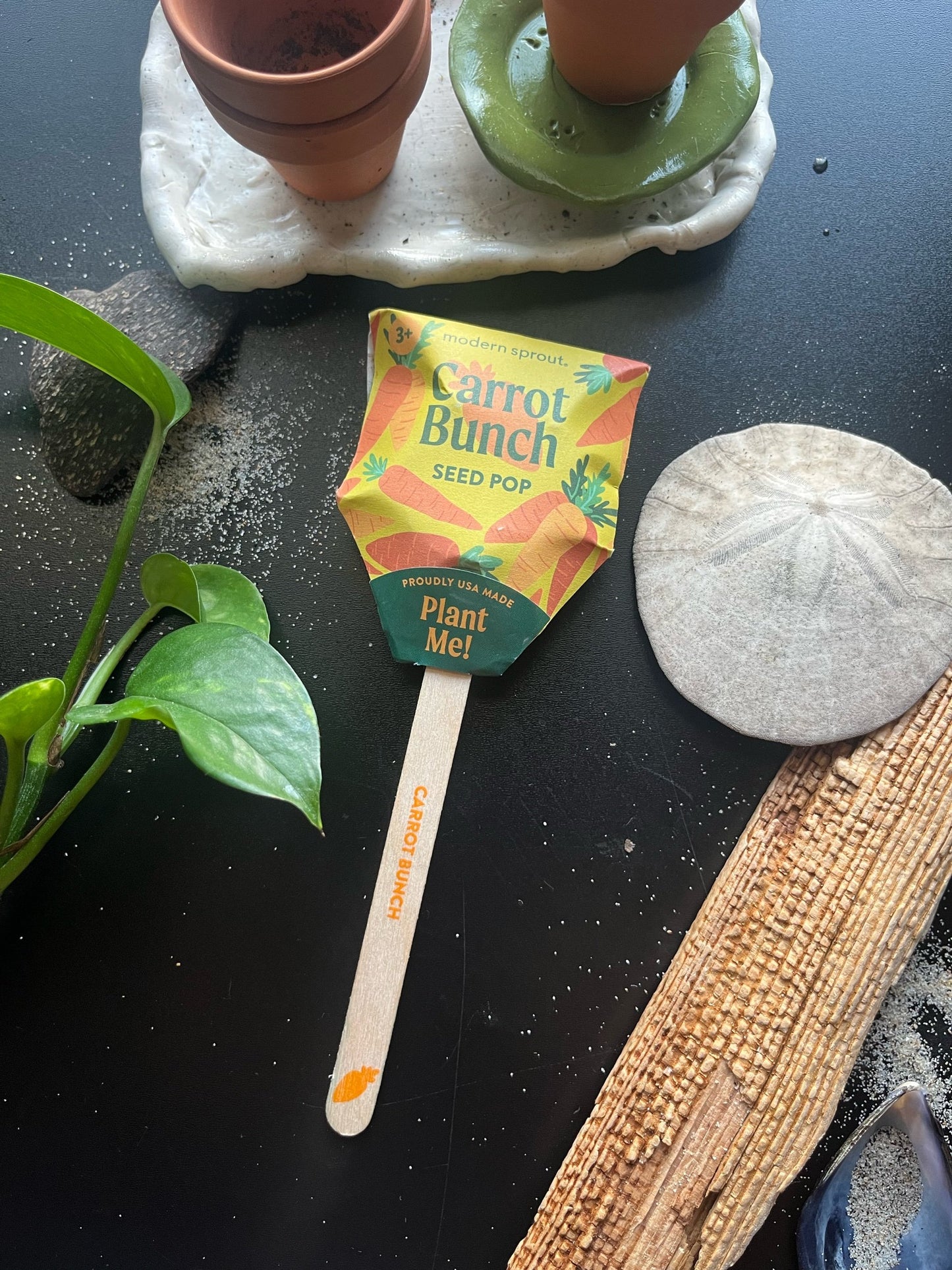 Garden Seed Pop Kits