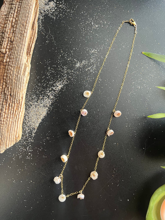 Puka Shell Choker