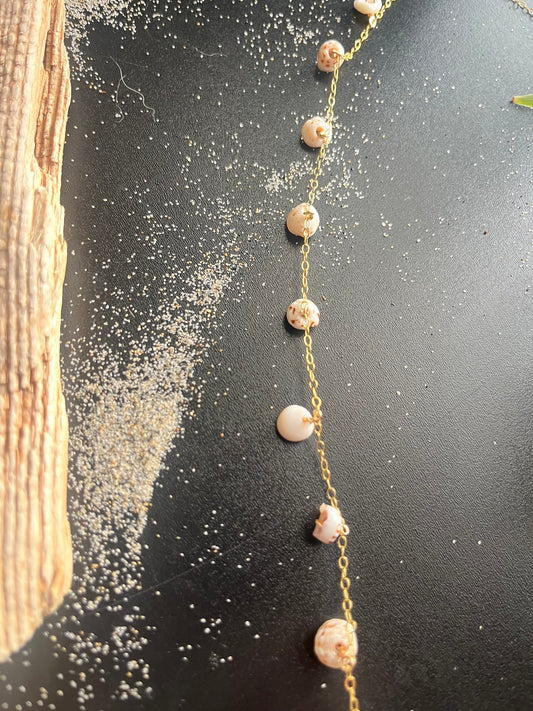Puka Shell Choker